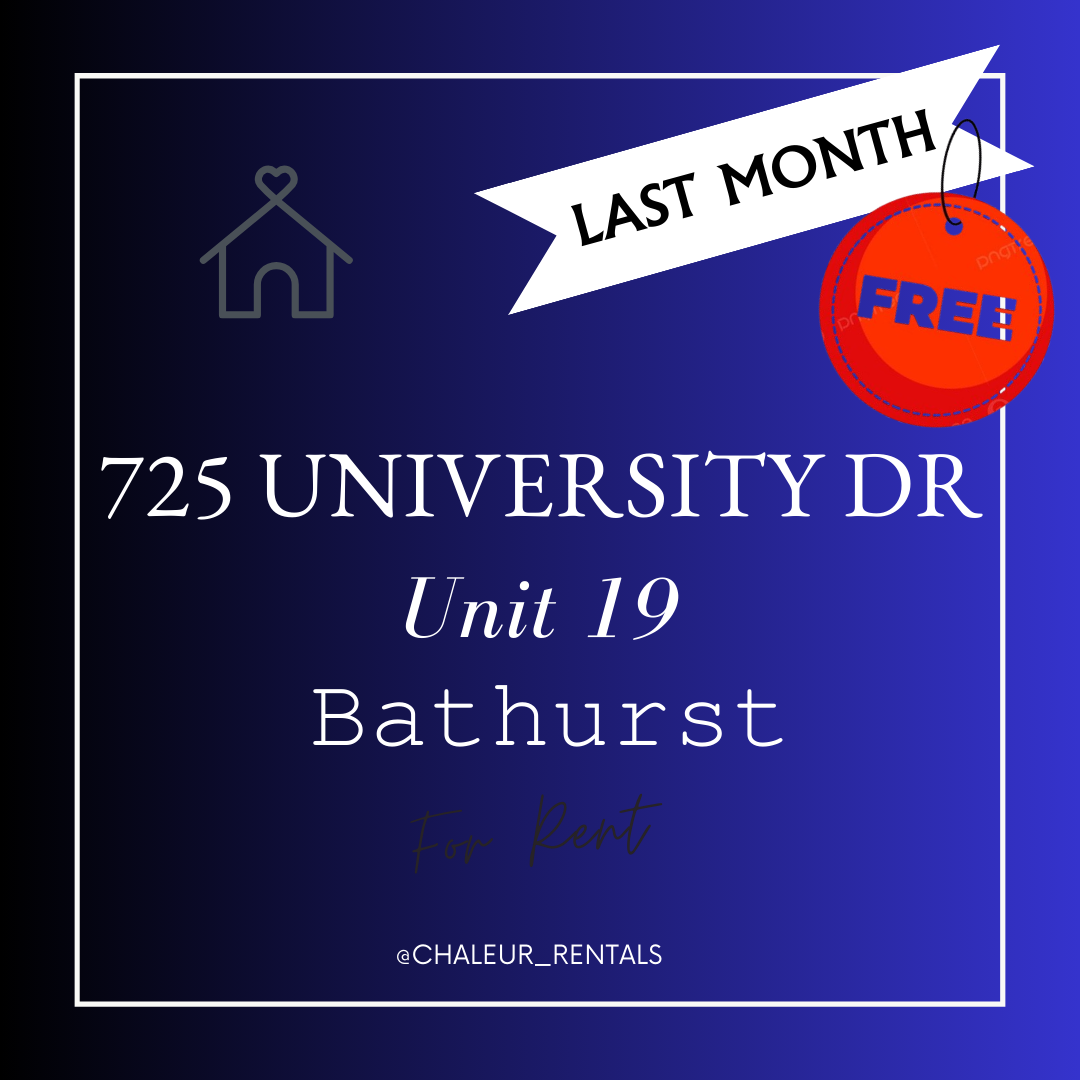 725 University Drive - 19